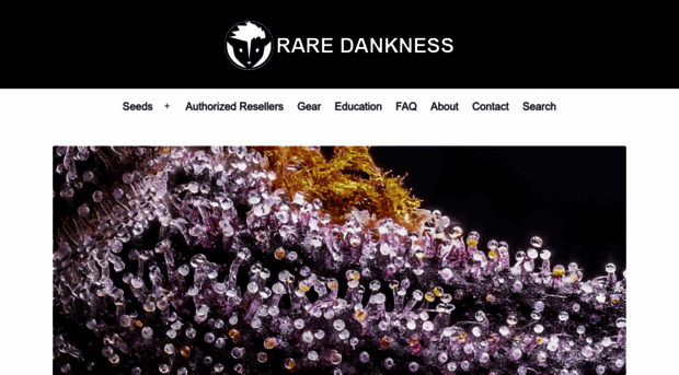 raredanknessgenetics.com