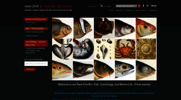 rarefishprints.com