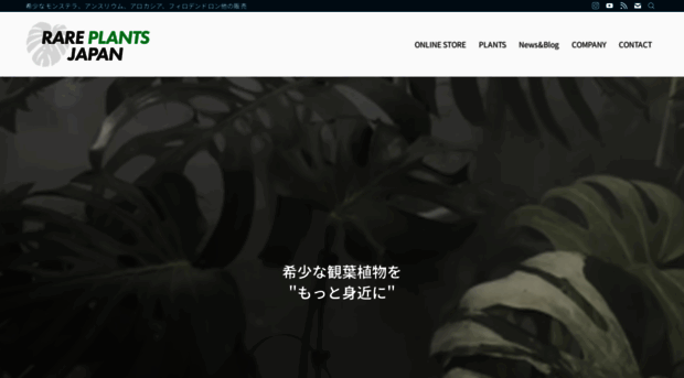 rareplantsjapan.jp