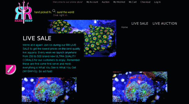 rarereefcoral.com