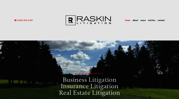 raskinlitigation.com