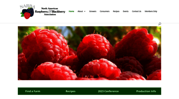 raspberryblackberry.com