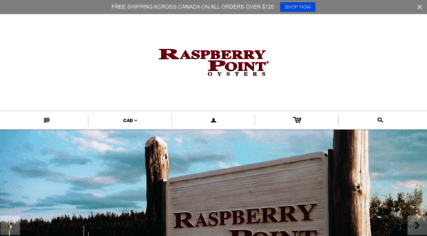 raspberrypoint.com