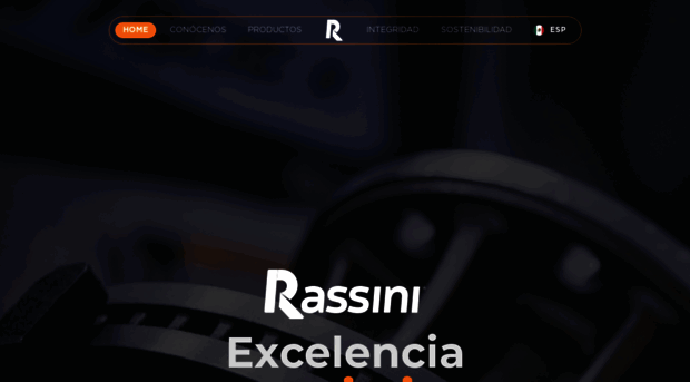 rassini.com