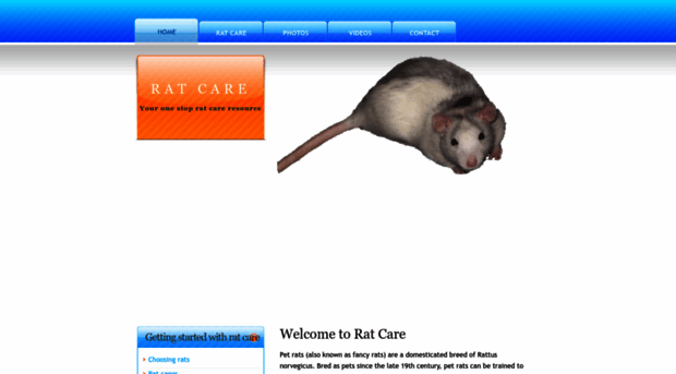 rat-care.com