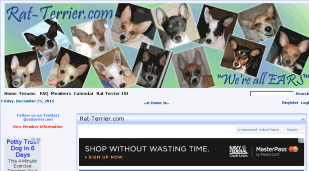 rat-terrier.com