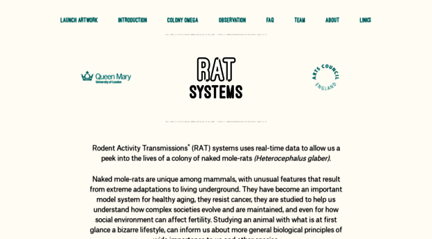 rat.systems