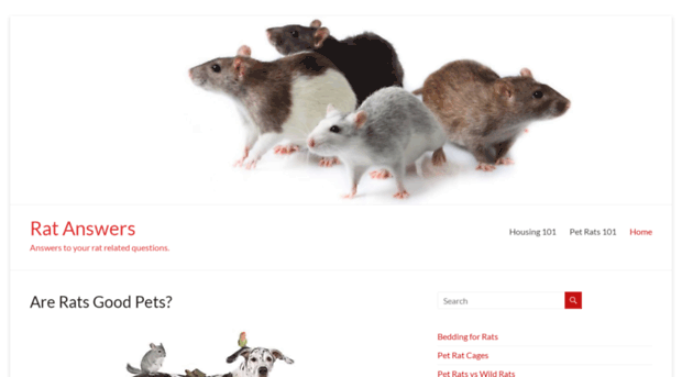 ratanswers.com