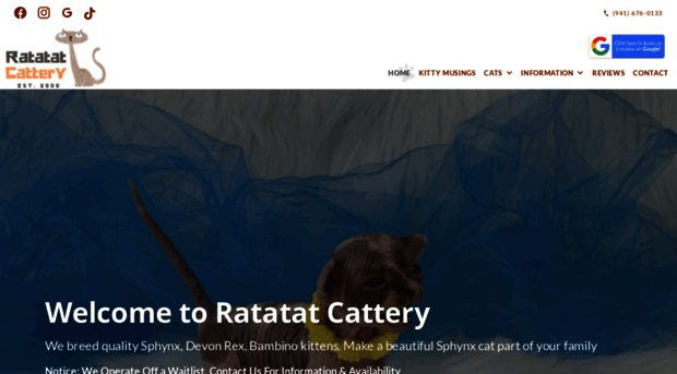 ratatatcattery.com