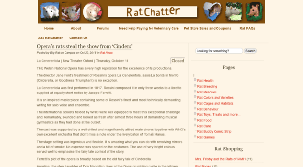 ratchatter.com