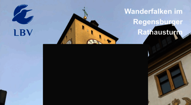 rathausturm-wanderfalken.de