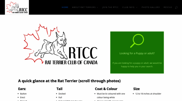 ratterrier.ca