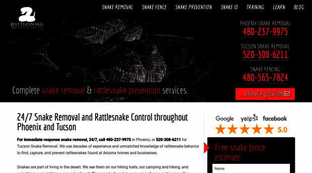 rattlesnakesolutions.com