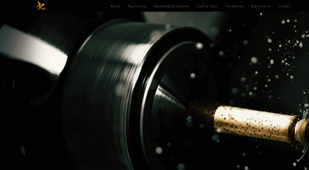 rautgroupindia.com
