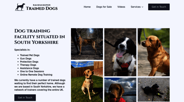 ravenkeepergundogs.co.uk