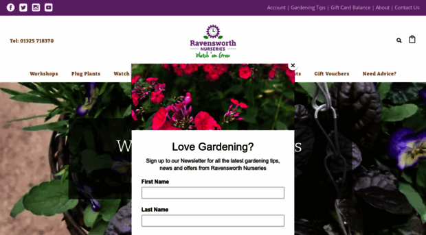 ravensworthnurseries.com