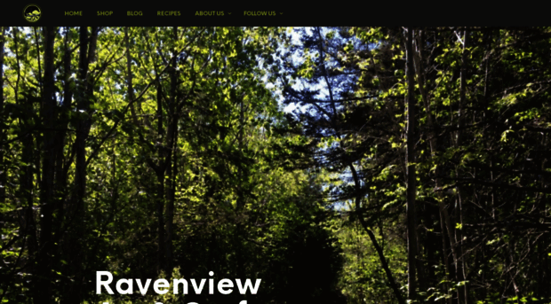 ravenview.com