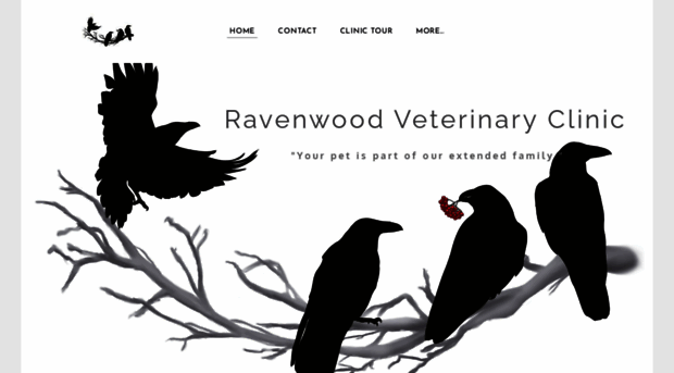 ravenwoodvet.com