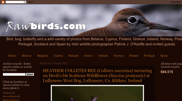 rawbirds.com