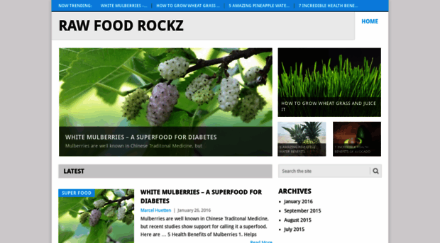 rawfoodrockz.com