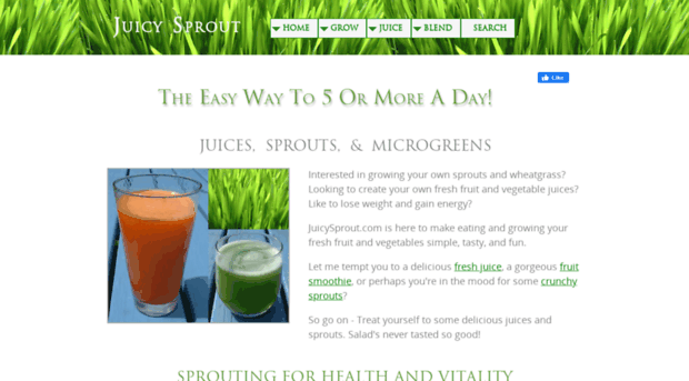 rawfoods-livingfoods.com