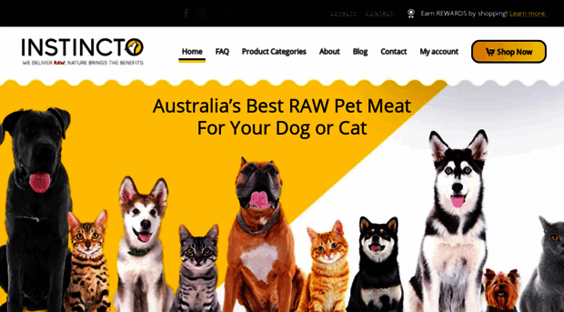 rawpetfoods.com.au