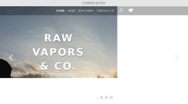 rawvaporsco.com