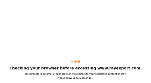 rayexport.com