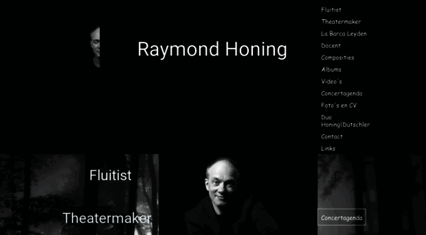 raymondhoning.com