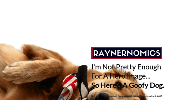 raynernomics.com