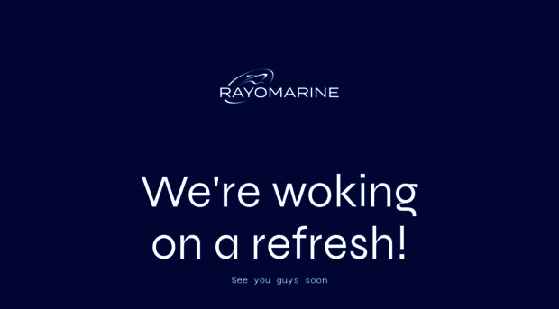 rayomarine.com