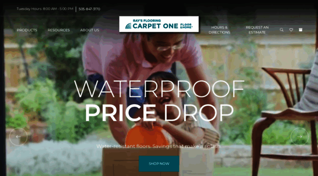 rayscarpetone.com