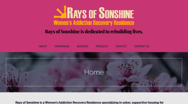 raysofsonshine.com