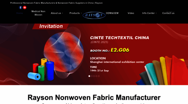 raysonchina.com