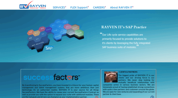 rayvenit.solutions