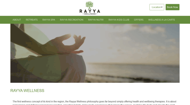 rayyawellness.com