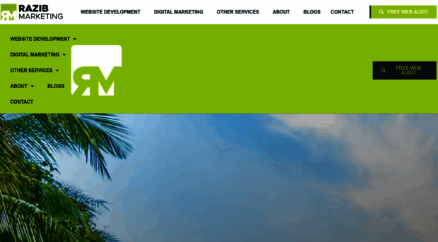 razibmarketing.com