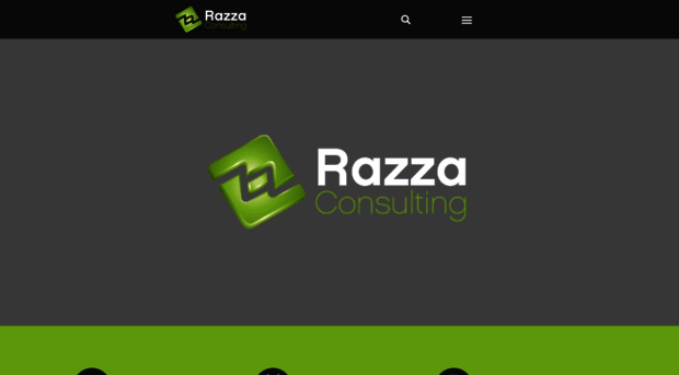 razzaconsulting.com