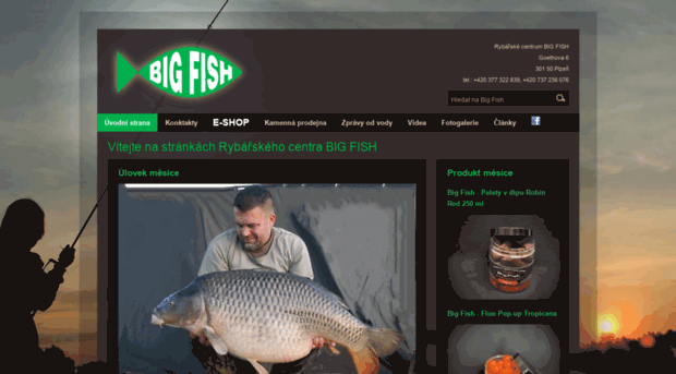 rc-bigfish.cz