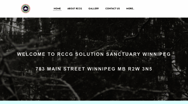 rccgsolutionsanctuary.com