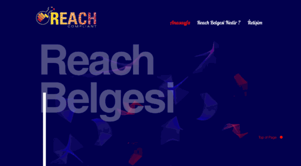 reachbelgesi.com