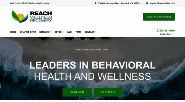 reachdetox.com