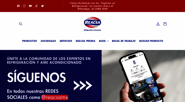 reacsa.com.mx