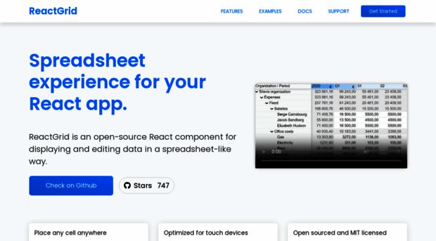 reactgrid.com