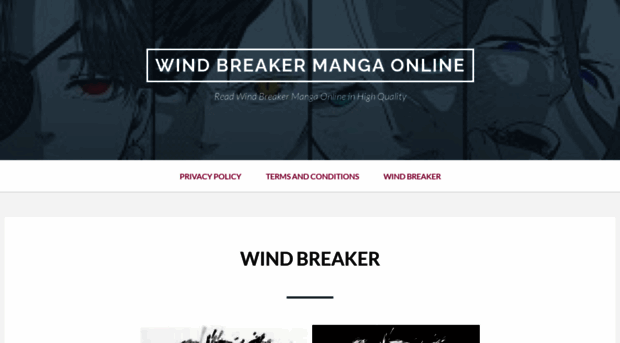 readwindbreaker.com