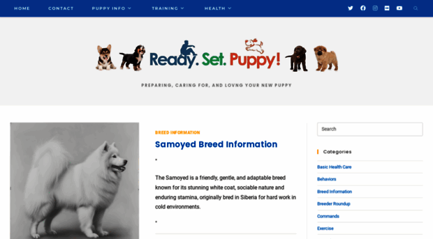 readysetpuppy.com