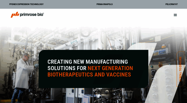 reagentproteins.com