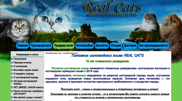 real-cats.ru