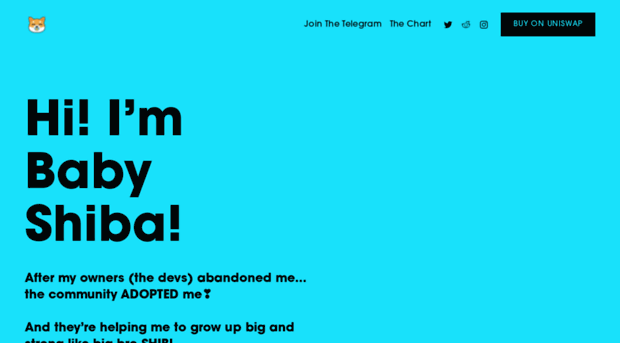 realbabyshiba.com
