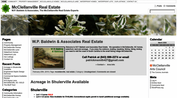 realestateinmcclellanville.com